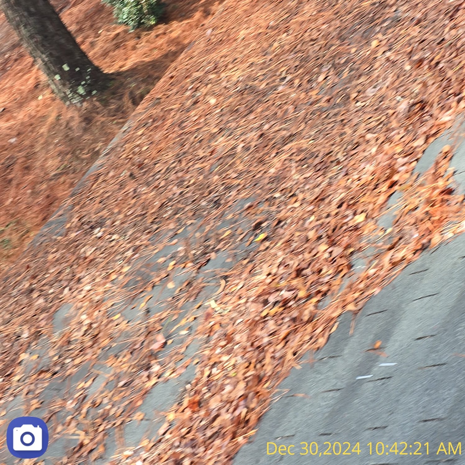 IMG-20260125-WA0473 (1)