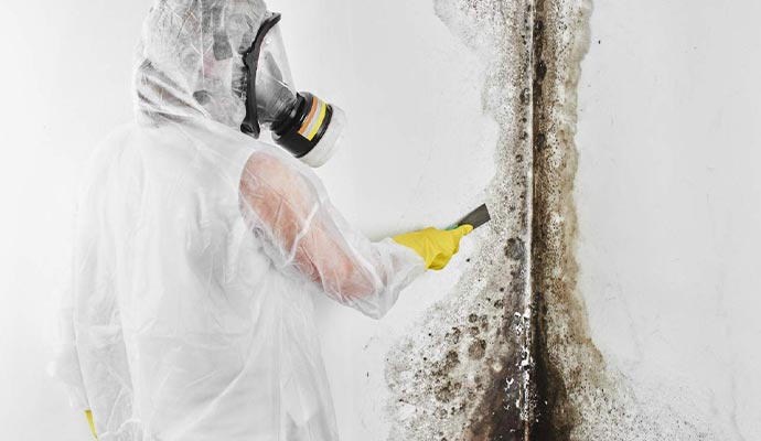 emergency-mold-removal