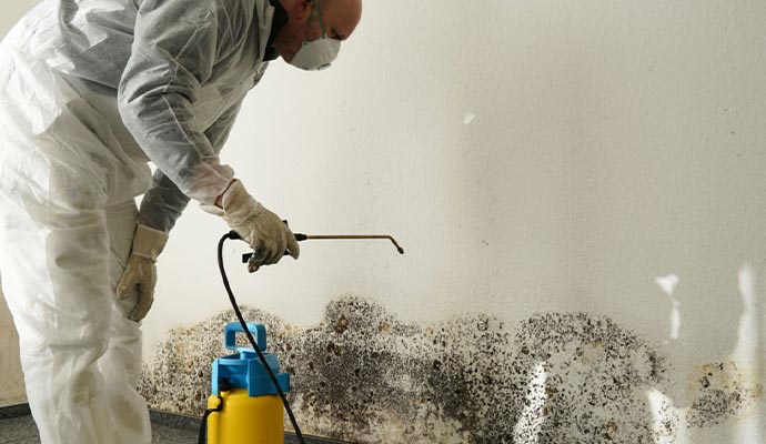 mold-remediation-professionally